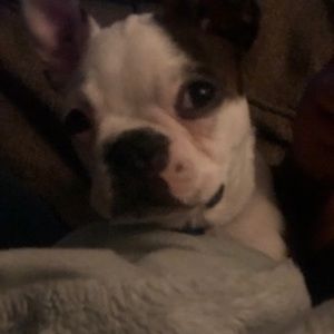 Meet your Posher, Carly